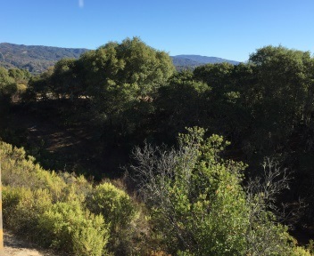 View west from upstairs.JPG